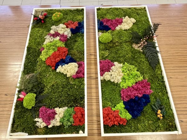 Créez votre fresque ou logo en végétaux stabilisés en équipe avec Amélie