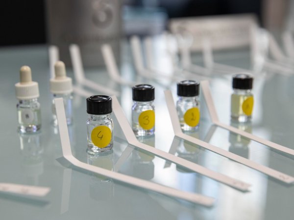 Atelier de création de parfum dans l'Eure-et-Loir