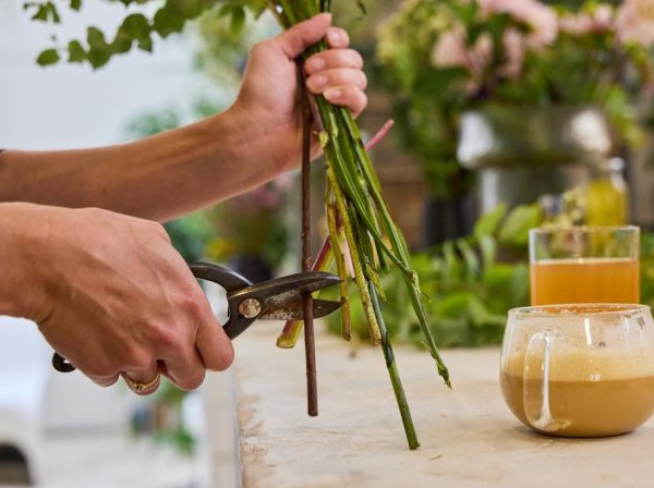 Composez un bouquet de fleurs de saison autour d'un goûter avec Eugénie et Gwenaël avec Eugénie et Gwenaël à Paris
