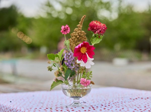 Cueillez et composez votre arrangement floral avec un kenzan avec Jo avec Jo à Pantin